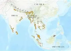 亚洲杯半决赛爆出冷门!广州队惊险辽宁男篮,争冠形势突变  亚洲杯半决赛爆出冷门!广州队惊险辽宁男篮,争冠形势突变